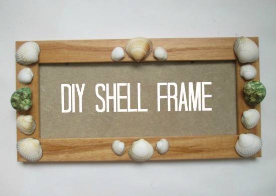 shell framefinal